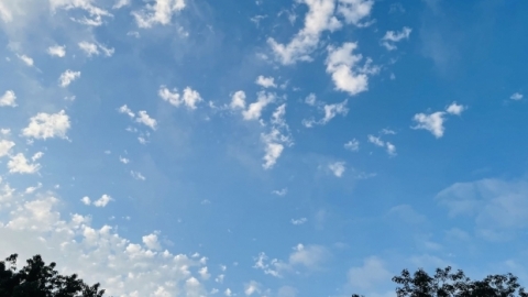 湖北未来三天阳光在线 最高气温都将突破20℃
