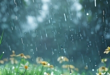 江西今明两天强降雨持续 中南部地区需警惕强对流天气