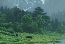 广西未来三天开启多雨模式 公众需警惕强对流与高温